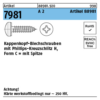 1000 Stück, Artikel 7981 A 2 Artikel 88981 Kappenkopf-Blechschrauben mit Phillips-Kreuzschlitz H, mit Spitze - Abmessung: 3,9 x 9,5 -H