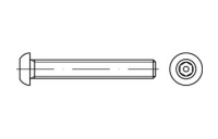 100 Stück, Artikel 88113 A2  Flachrundkopf-Sicherheitsschrauben mit ISK + Pin - Abmessung: 3,5 x 6 SW 2 PIN